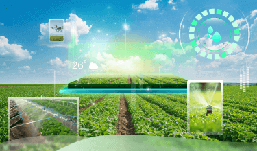 Crop Cultivation Solutions