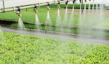 Fully Automatic High-Pressure Fogging