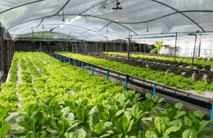 Water-Fertilizer Integration